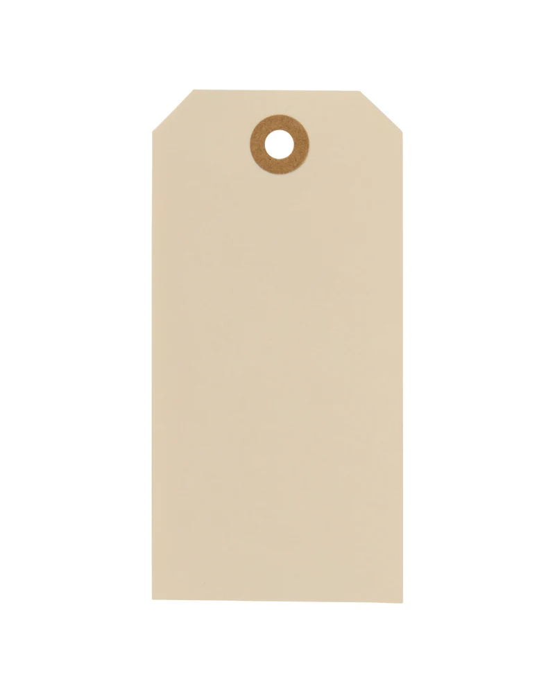 Geschenkanhänger aus Papier - Natur