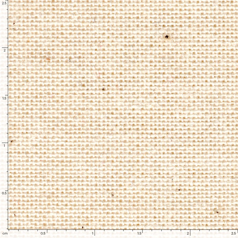 Rohnessel * Ab 100 cm