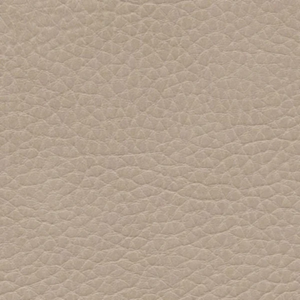 Kunstleder-Kissen 40x40 cm | Omega II Rindsleder-Optik