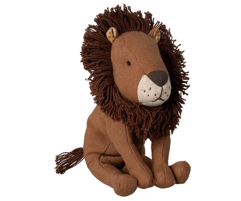 Kleiner Leo