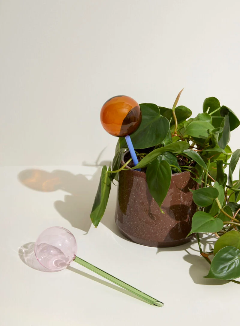 Bewässerungskugel Flora Aqua Globe - Bernstein