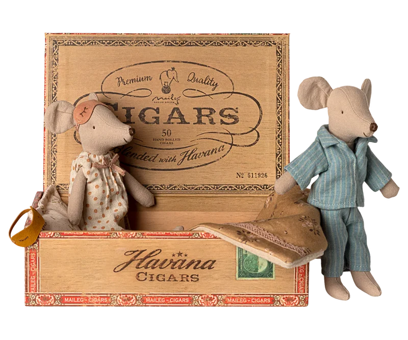 Mama & Papa Mäuse in Zigarrenkiste