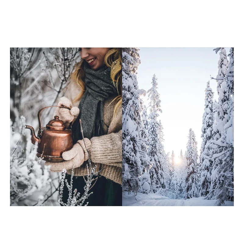 Buch - Nordic Winter Cookbook
