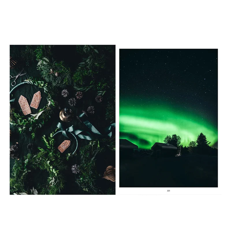 Buch - Nordic Winter Cookbook