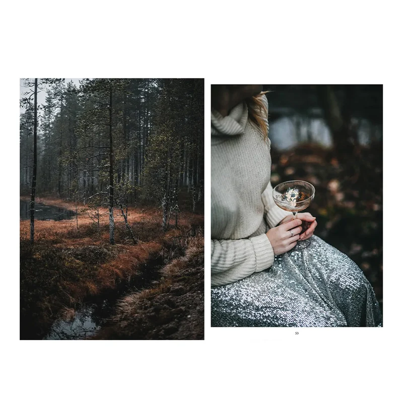 Buch - Nordic Winter Cookbook