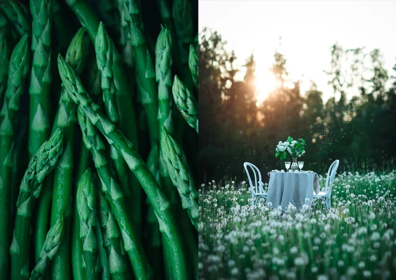 Buch - The Art of Fun Dining