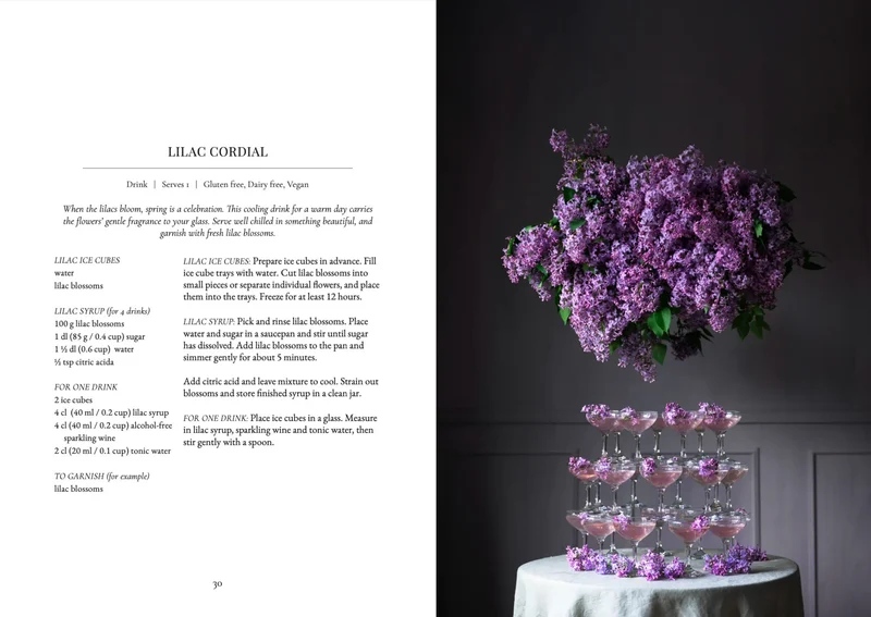 Buch - The Art of Fun Dining