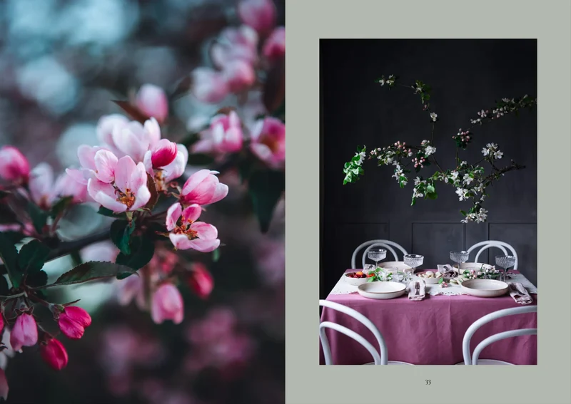 Buch - The Art of Fun Dining