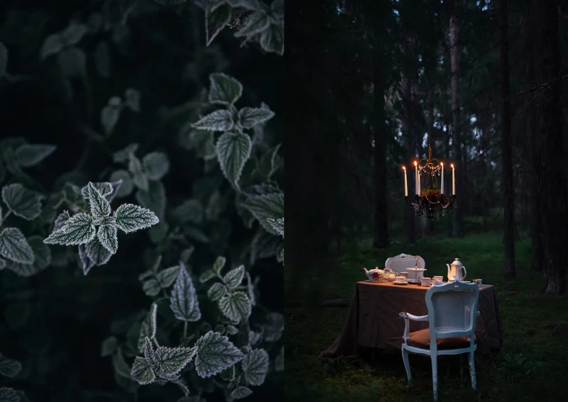 Buch - The Art of Fun Dining