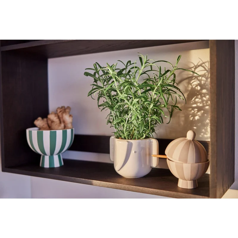 Bonbonniere Toppu - beige