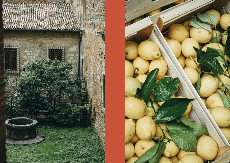 Buch - La Nostra Cucina Povera. Everyday Italian Eats