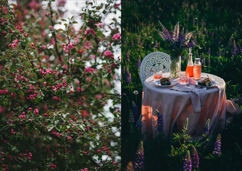 Buch - Nordic Summer Cookbook