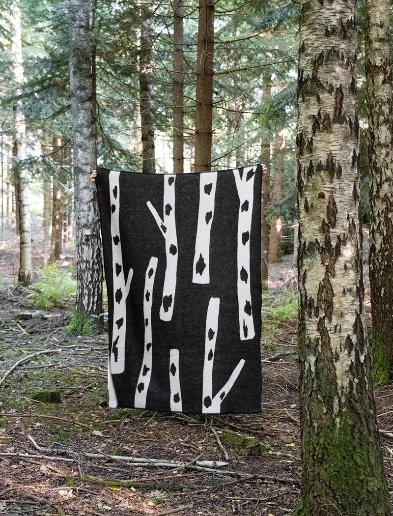 Decke Birch / Björk