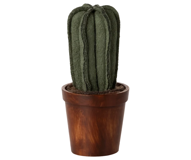 Blumentopf Kaktus Miniatur