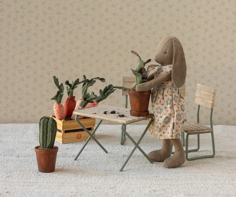 Blumentopf Kaktus Miniatur