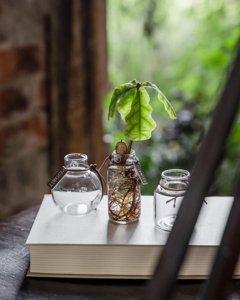 Mini Glasvasen - 3er Set