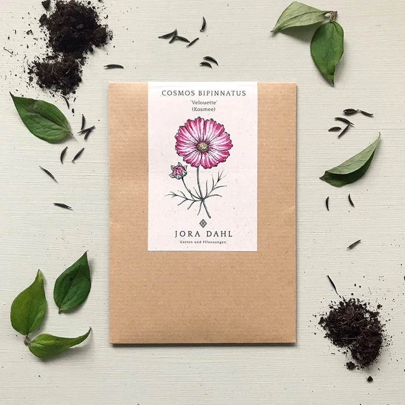 Blumensamen - Cosmos bipinnatus "Velouette" (Kosmee)