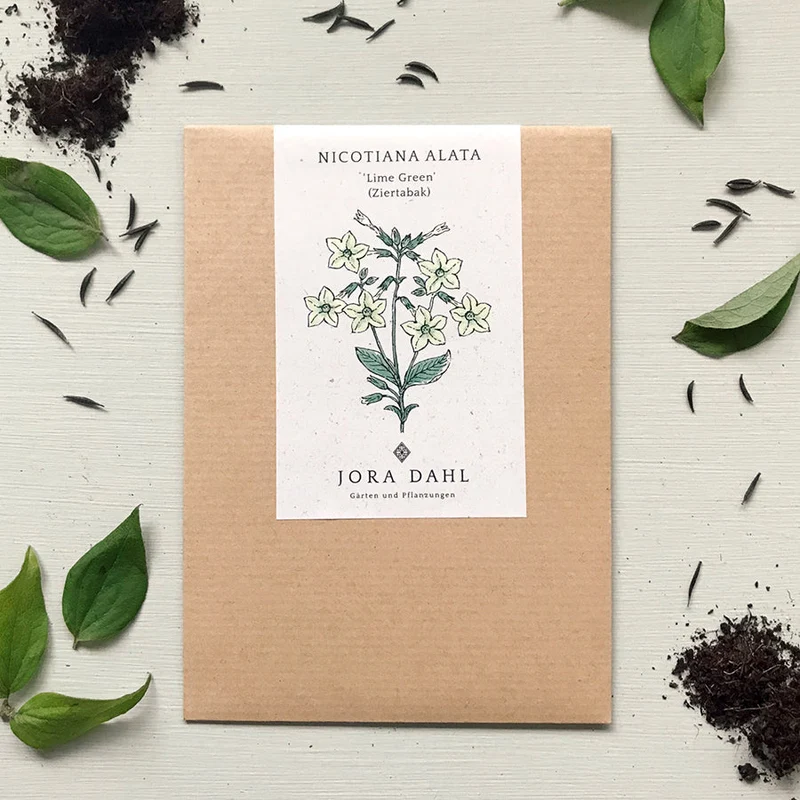 Blumensamen - Nicotiana alata "Lime Green" (Ziertabak)