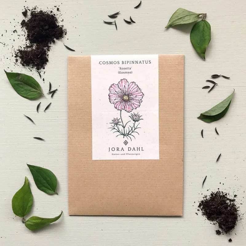 Blumensamen - Cosmos bipinnatus "Rosetta" (Kosmee)