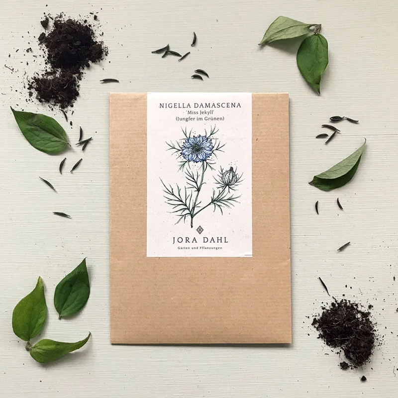 Blumensamen - Nigella Hispanica "Midnight" (Jungfer im Grünen)
