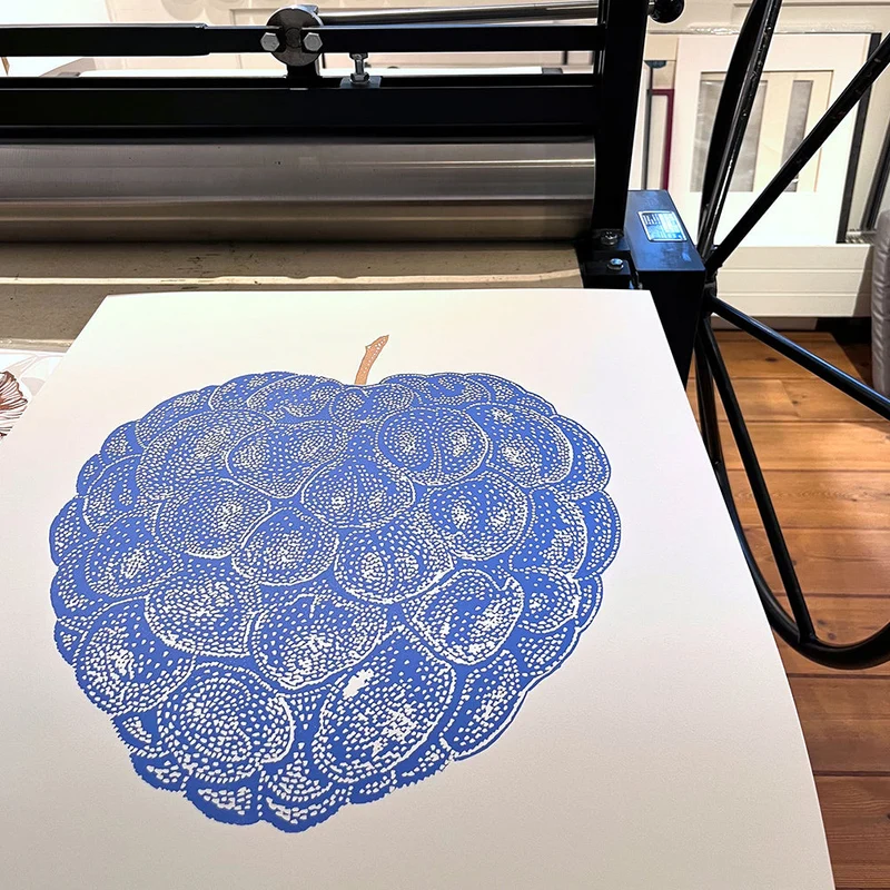 Druck - Brombeere blau/weiß