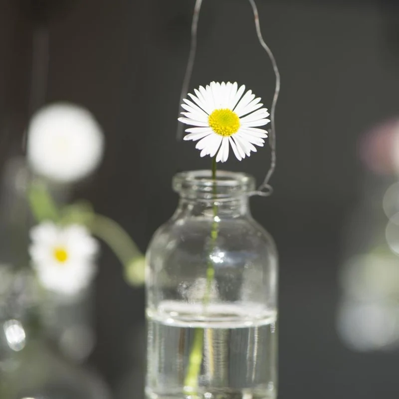 Mini Vase zum Aufhängen