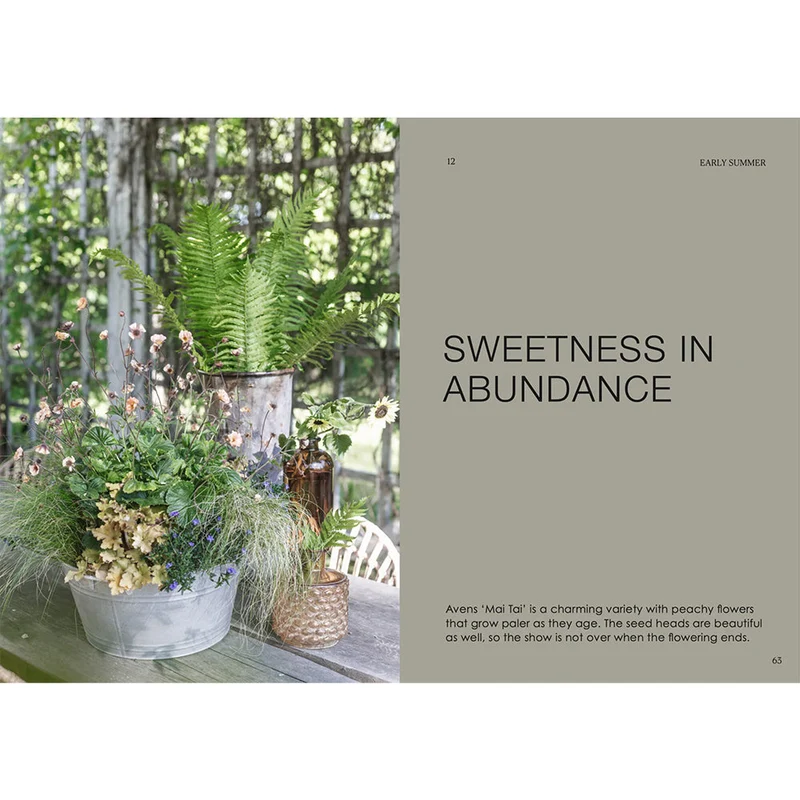 Buch - The Potted Garden - All Year Round