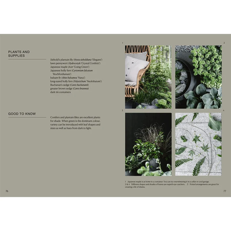 Buch - The Potted Garden - All Year Round