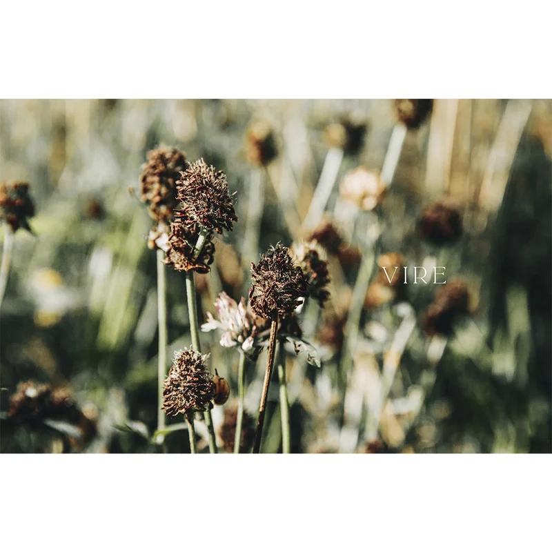 Buch - Urban Knit Easy - Effortless and Modern Knits