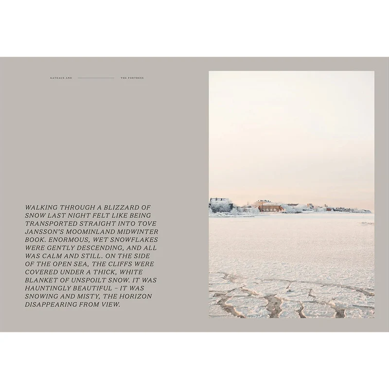 Buch - Gateaux and The Fortress