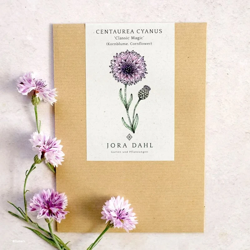 Blumensamen - Centaurea cyanus "Classic Magic" (Kornblume)