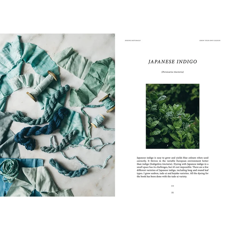 Buch - Dyeing Naturally