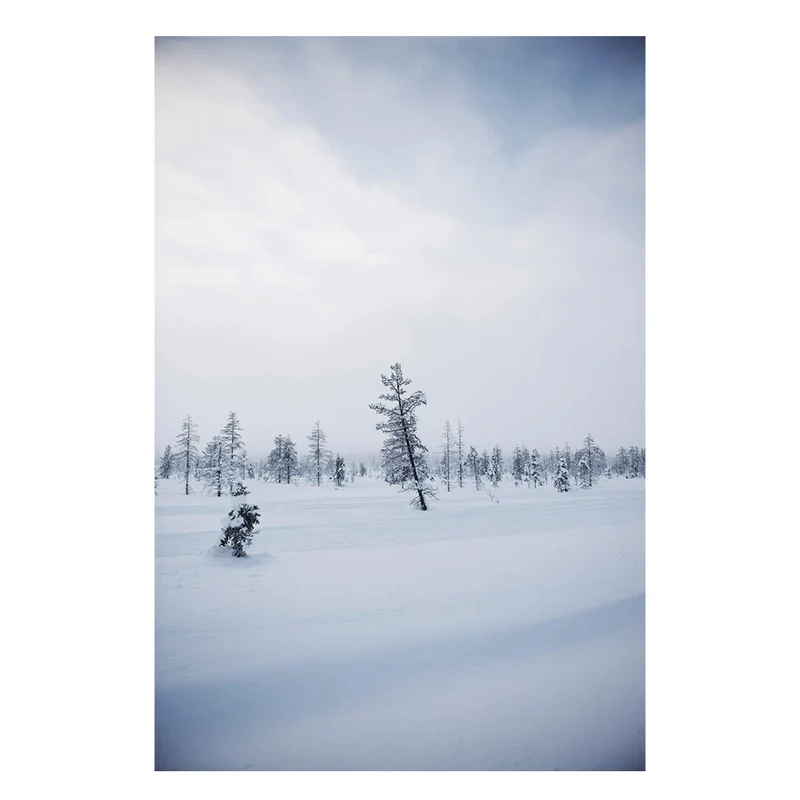 Buch - Eat Finland