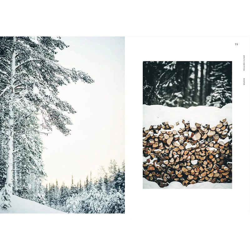 Buch - Arctic Knitting