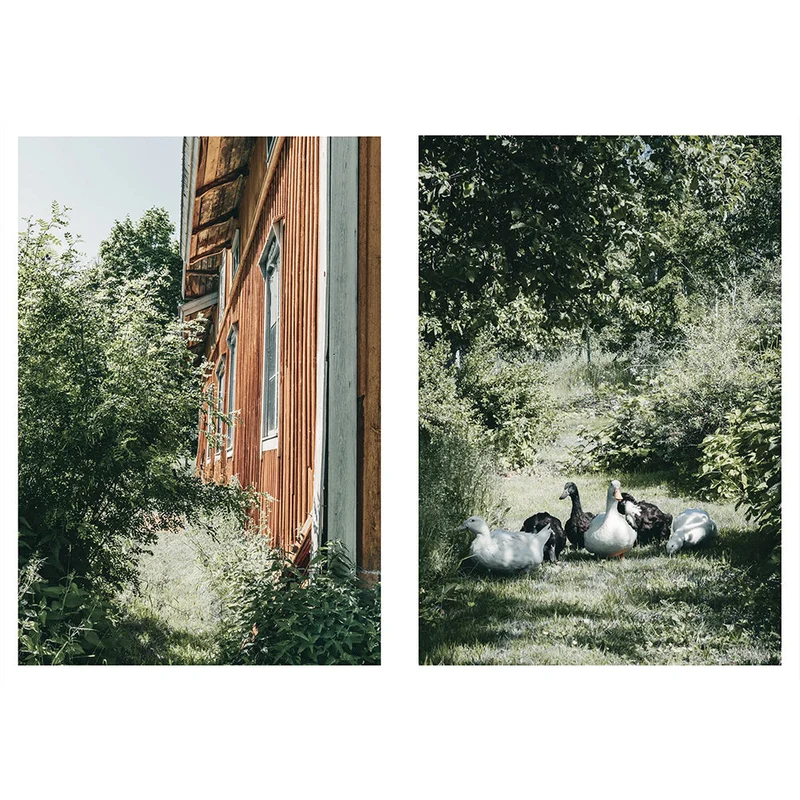Buch - Nordic Homestead