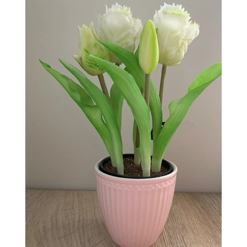 Tulpentopf „Barbados“ weiß
