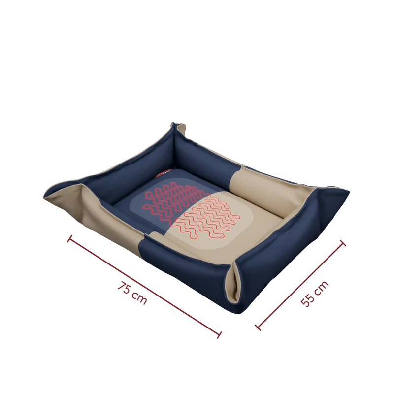 Nook³ XL | Canvas