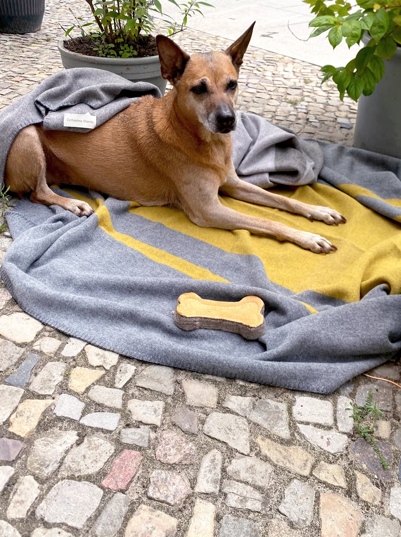 Hundedecke aus Wolle "Woof - Yellow"