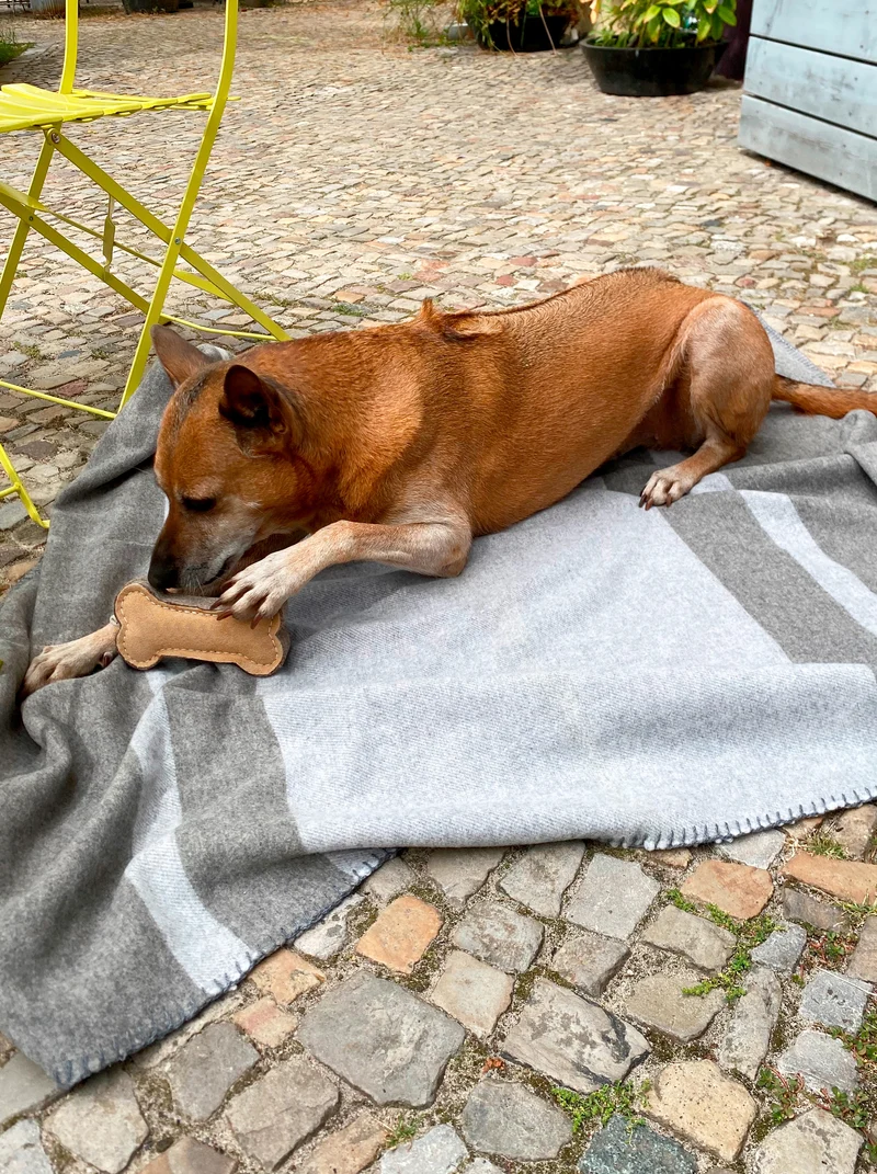 Hundedecke aus Wolle "Woof - Light Grey"