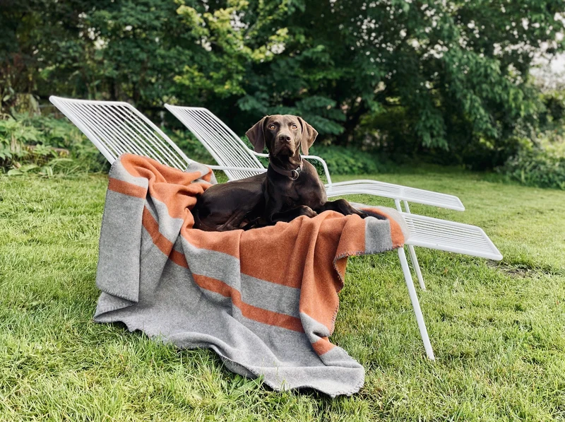 Hundedecke aus Wolle "Woof - Rust Brown"