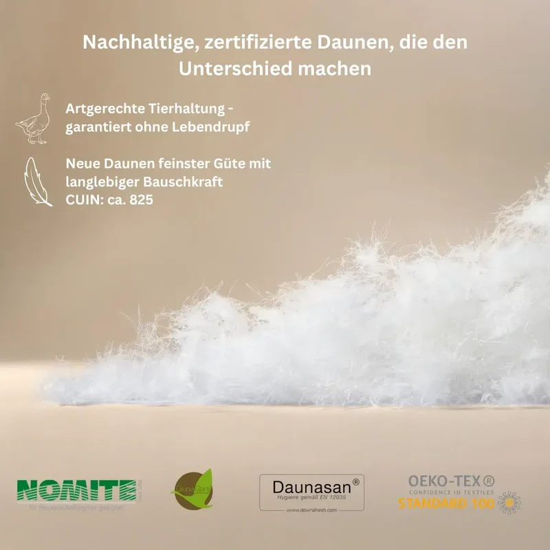 Pure Gänse-Daunendecke