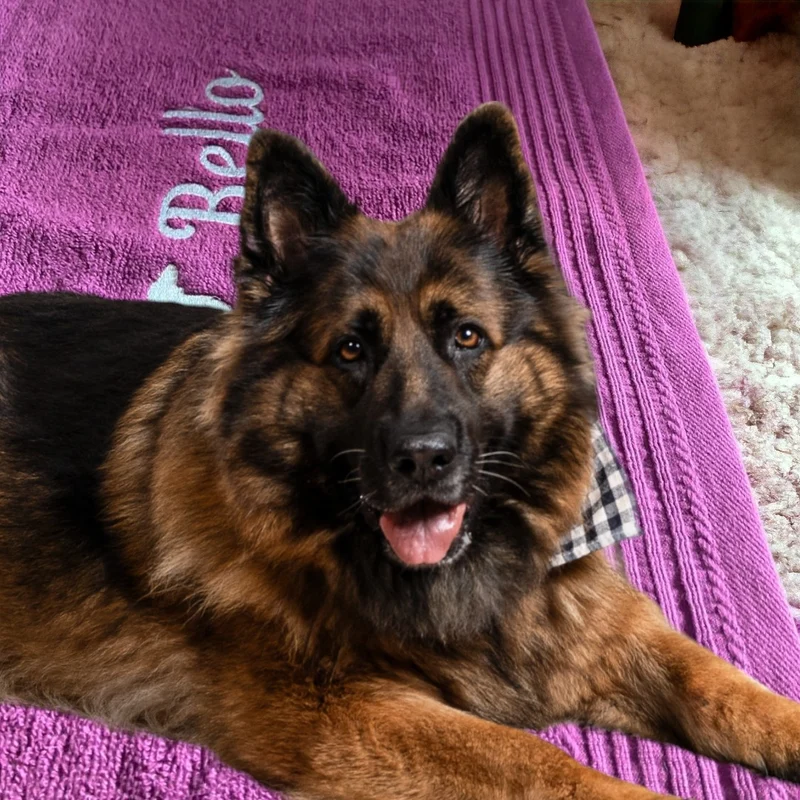 Hundehandtuch mit Namen und Motiv bestickt verschiedene Größen und Farben